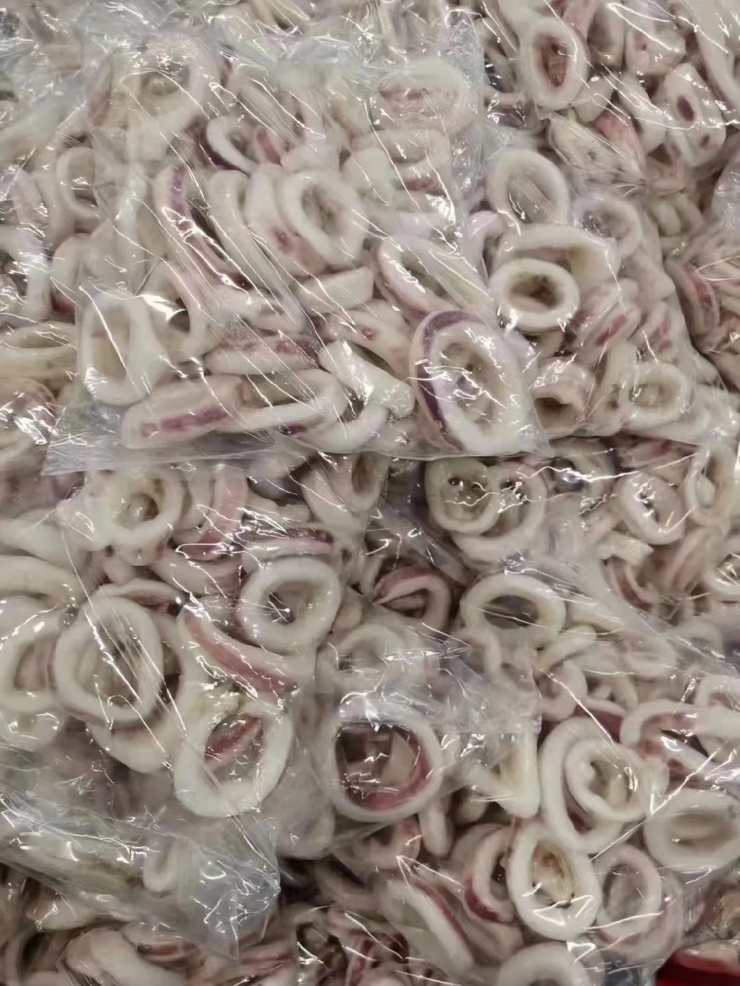 Frozen Squid Rings Skin on/Calamari Squid Rings/Calamar /Pota/Indian Squid Rings