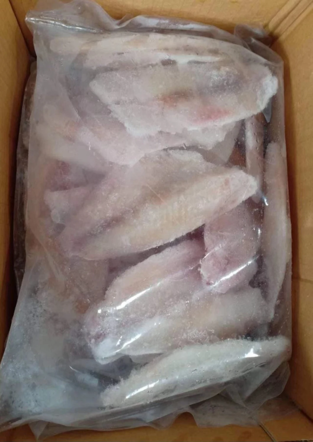 Frozen Chinese High Quality Tilapia Fillet