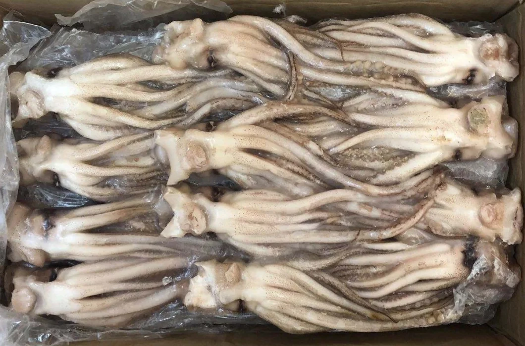 Frozen Squid Tentacle, Calamari, Calamar, Calmar, Pota