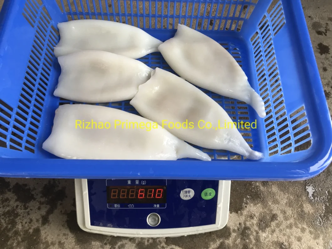 Fish Calamari Seafood Illex Todarodes Gigas Frozen Squid Rings Tubes