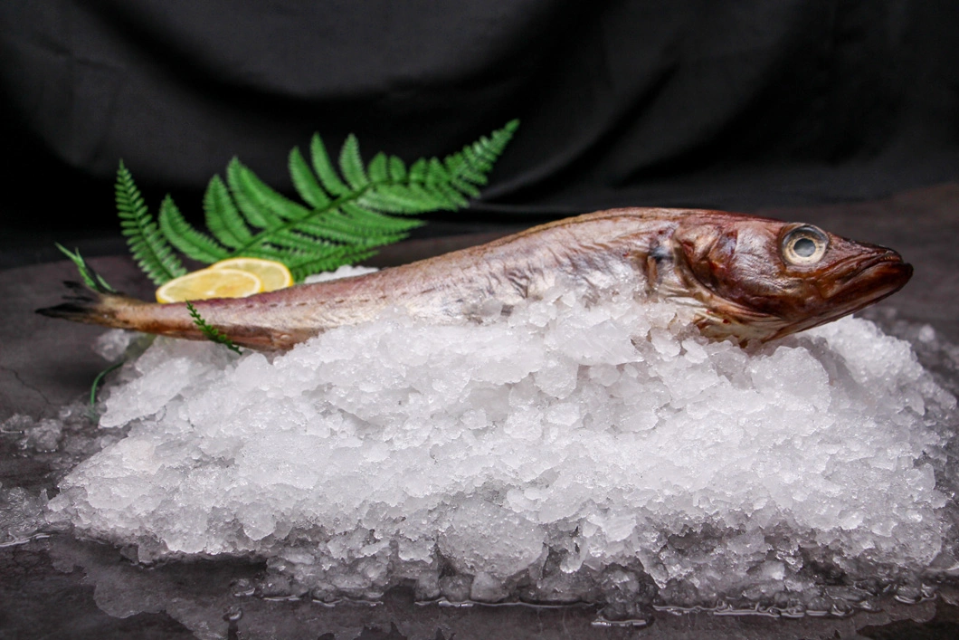 Factory Outlet Specification Customization Nutritious Delicious Frozen Half Dried Pollock