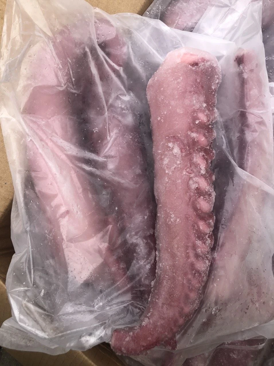 Frozen Squid Tentacle Strip Cut/ Giant Squid Tentacle/Gigas Squid Tentacle/Calamari Tentacle