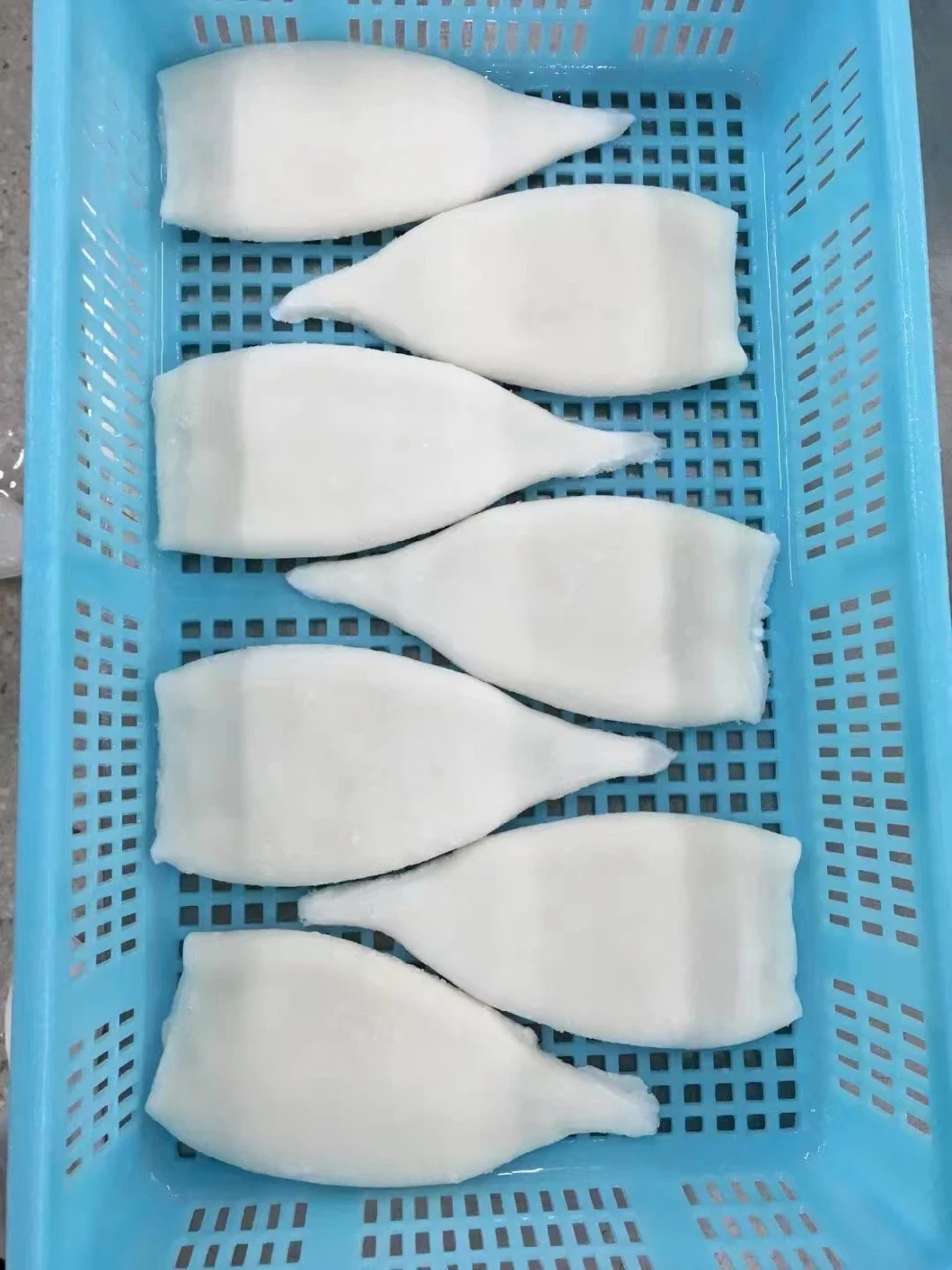 Frozen Squid Tube/Tubo De Pota/Calamari/ Sotong/Calmar/Illex Tube/Gigas Tube