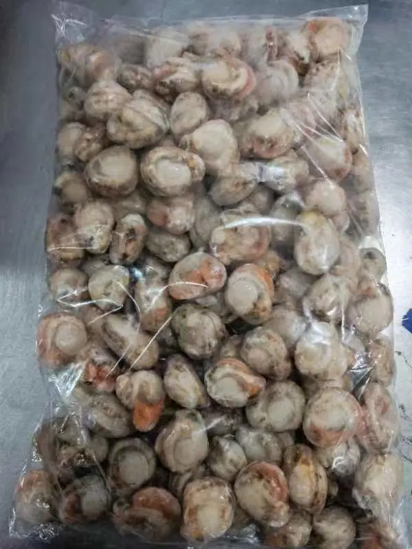 Frozen Scallop Meat/Frozen Seafood/Shellfish/Sea Shell