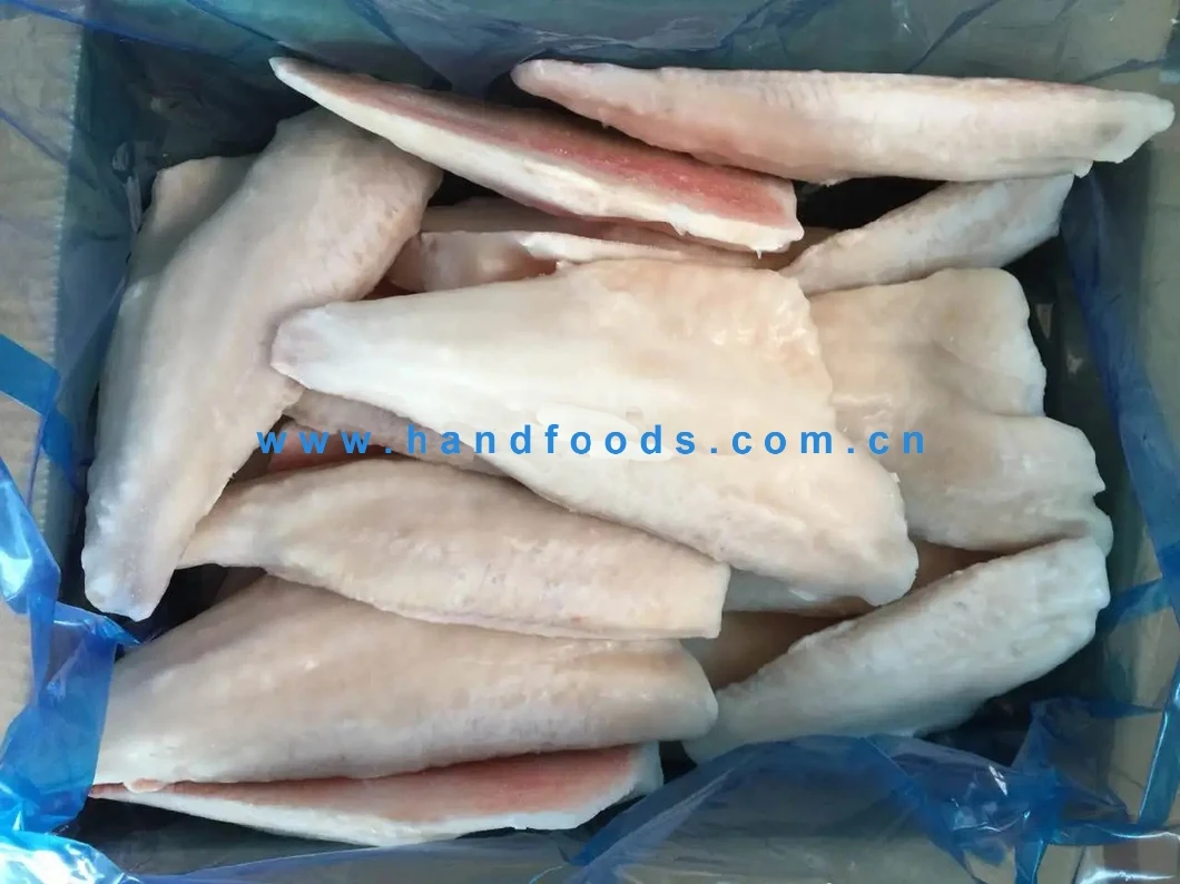 Good Quality Seafood of Frozen Atlantic Sea Redfish Fillets Boneless