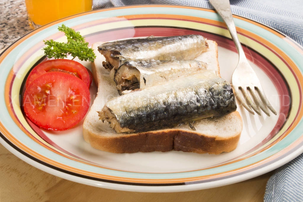 Erica Buy Cheap Price Best Hala Frozen Canned Herring Sardines Fish Brand Scientific Name in Soybean Oil