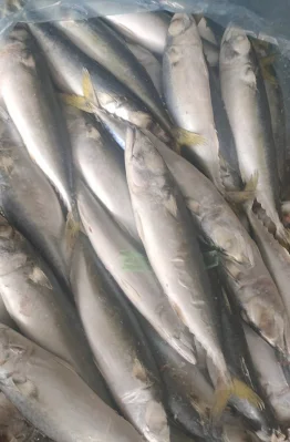 Pescado de sardina de marisco fresco congelado de tierra para sardinas enlatadas