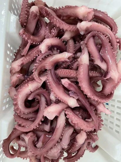 Corte de tira de tentáculo de calamar congelado / Tentáculo de calamar gigante / Tentáculos de calamar hervido / Mariscos congelados / Sotong