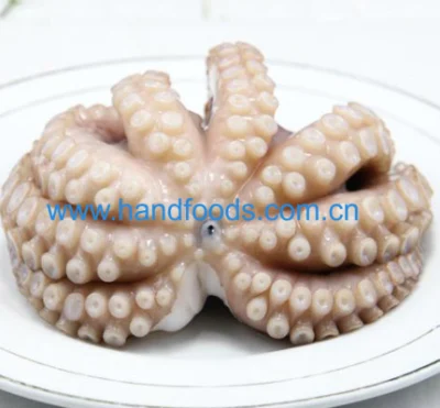 Mariscos de buena calidad de pulpo común limpio y congelado Gaint Octopus