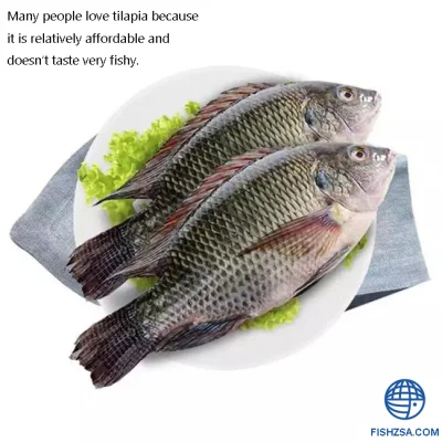 Tilapia Negra China Cultivo Pescado Tilapia Negra Congelada