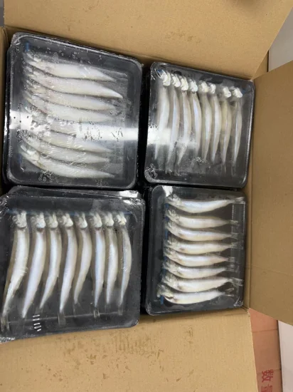 Pescado capelán congelado IQF/Bqf de alta calidad a la venta en Singapur a buen precio