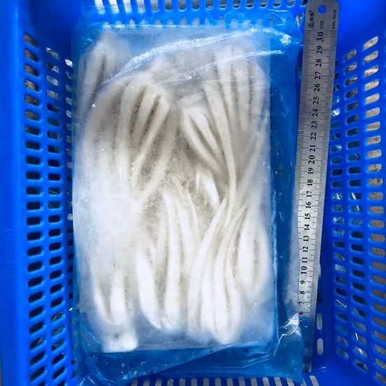 Calamar Gigante Peruano Mayorista Dosidicus Gigas Calamar Gigante Congelado