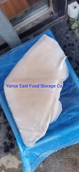 Alitas de calamar congeladas, sin piel, Illex argentino, Todarodes pacificus, gigante, palitos de surimi, mix de mariscos, salmonete, calamar desmenuzado, tilapia