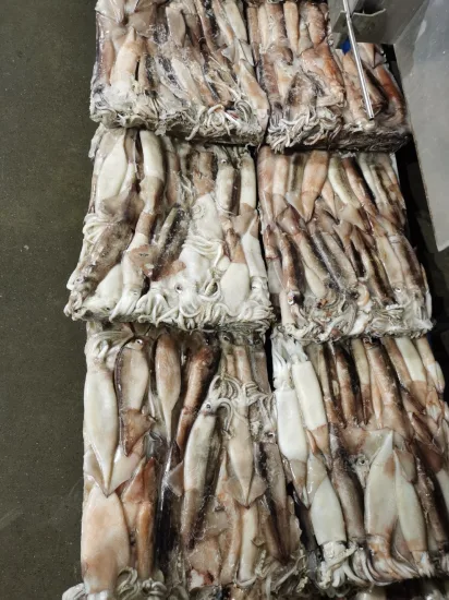 Tentáculos de Calamar Congelados, Illex Argentinus/Todarodes/Arrow Squid