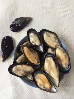 Mejillones de media concha de mariscos congelados de alta calidad con buen precio